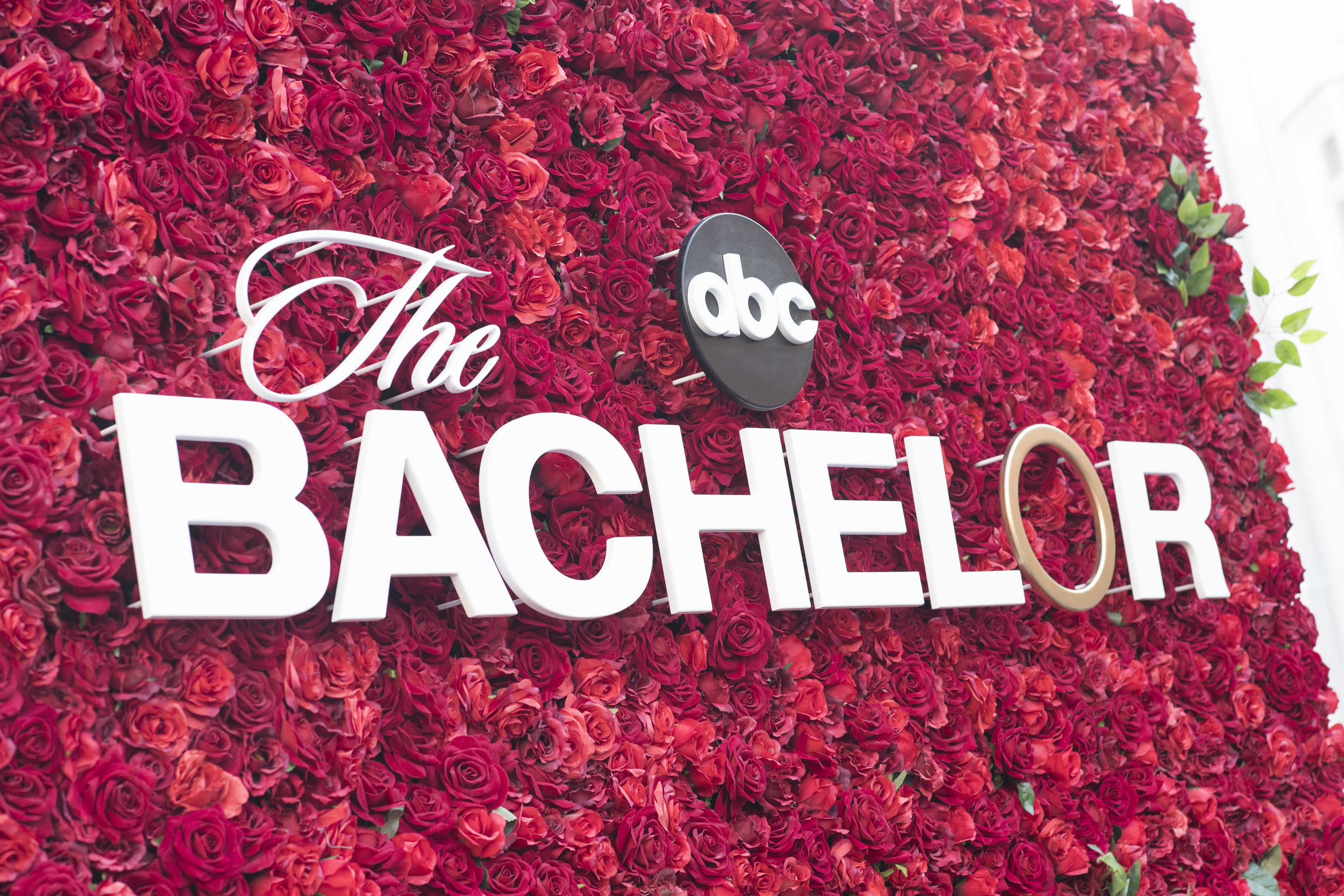 Who Is The Bachelor Winner 2019
