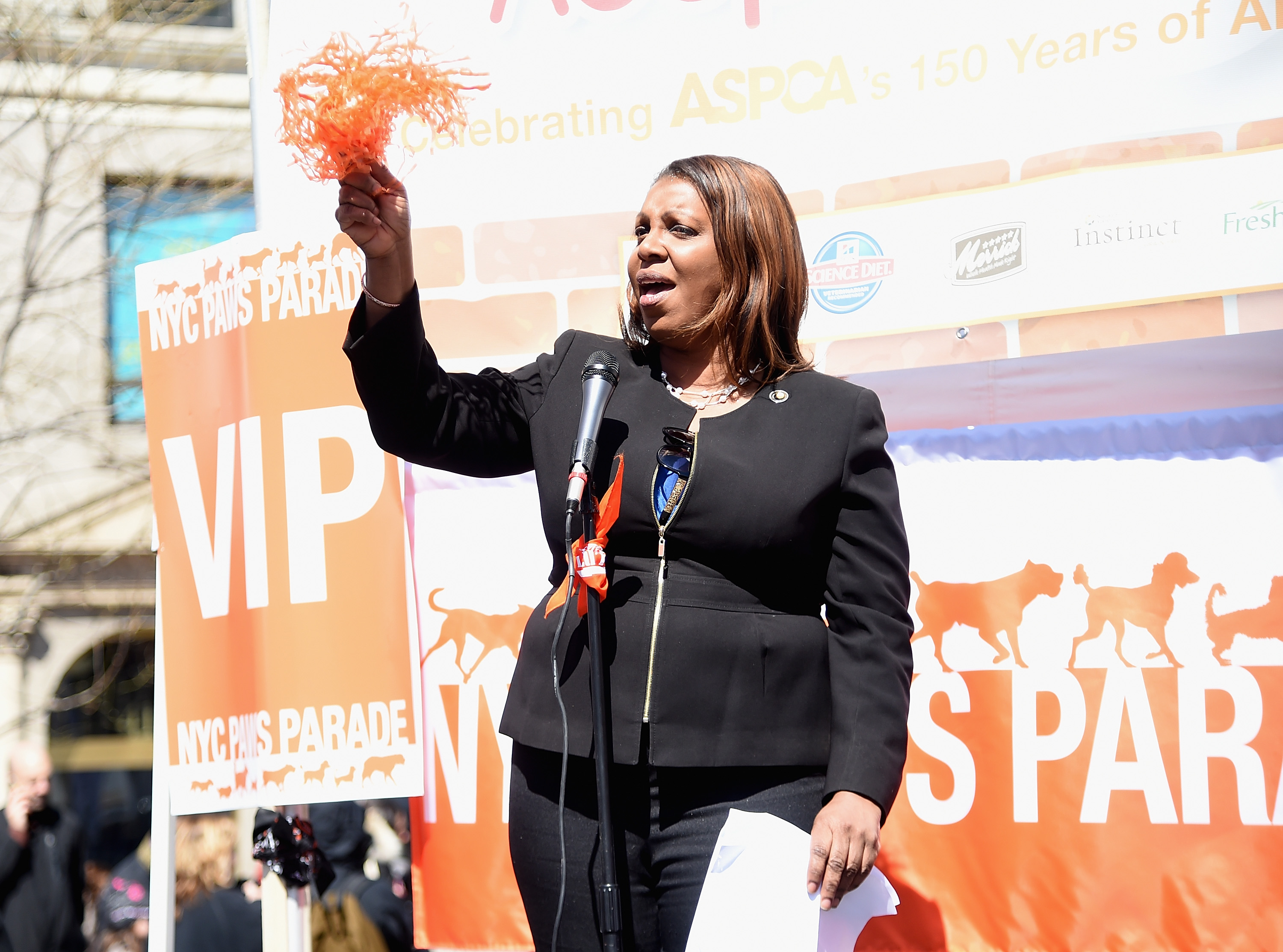 Letitia James 5 Fast Facts You Need to Know