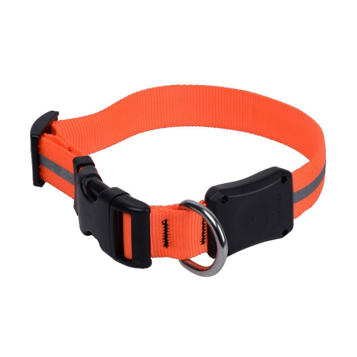 dog collar brands