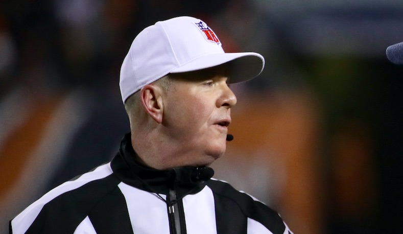 John Parry Salary: How Much Does the NFL Ref Make? | Heavy.com