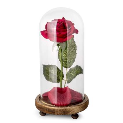 "Beauty and the Beast" Rose Kit