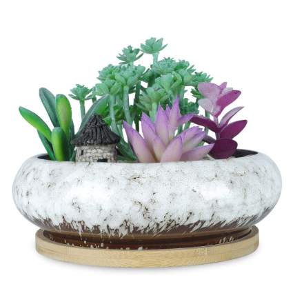 White glazed succulent bowl with bamboo tray