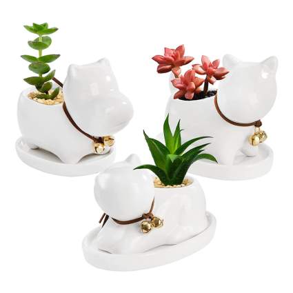 Animal ceramic pots