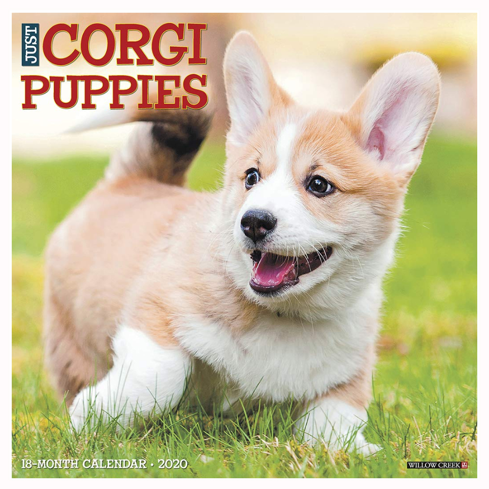 corgi dog gifts