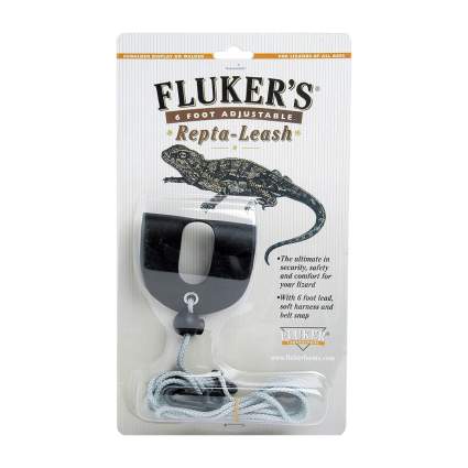 Fluker's lizard leash best bearded dragon accessories