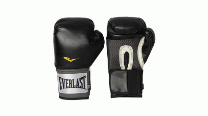 everlast training boxing gloves