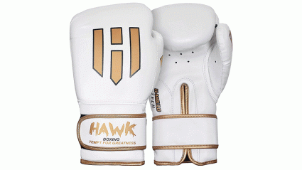 hawk boxing gloves