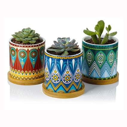 madala print succulent pots