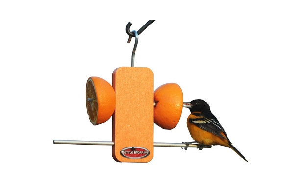 Kettle Moraine Recycled Super Oriole Bird Feeder Fruit Jelly Mealworms Oranges 