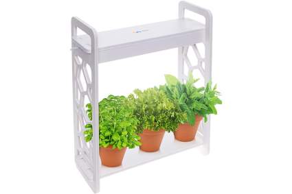 white plant stand with pots