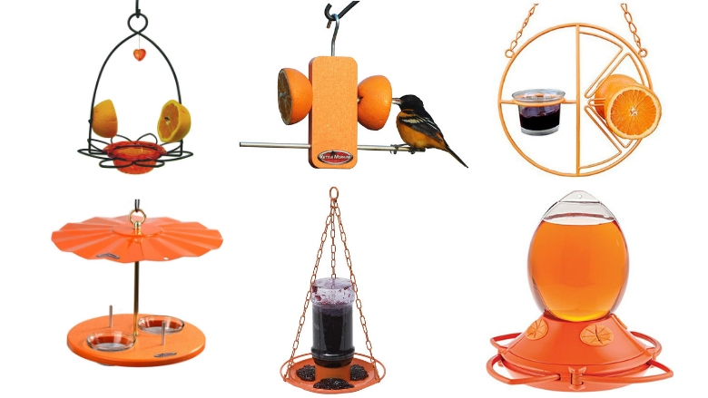 oriole bird feeder