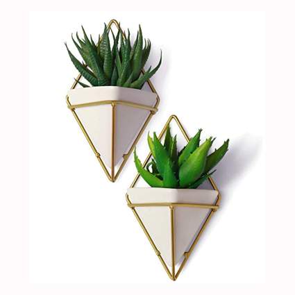 white ceramic succulent pots with brass wall mounts