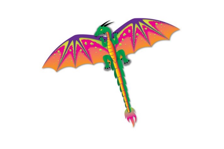 Details about   Kites Children's Kite Pegasus Single Line Herbstdrachen Dragons Flying 