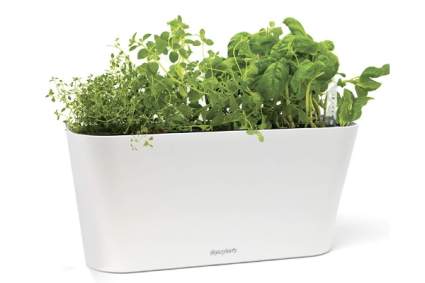 Aquaphoric Herb Garden Tub