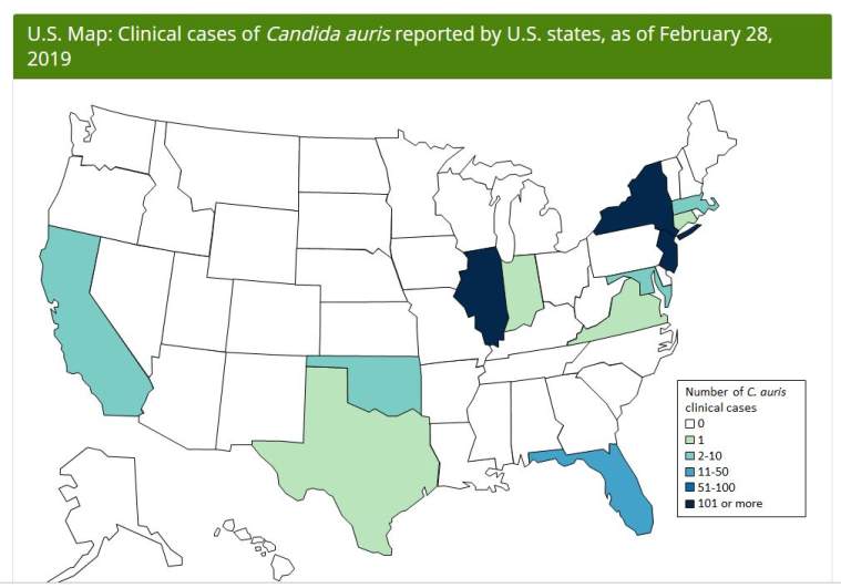 Candida auris U.S. tracking map