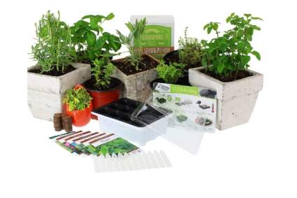 Culinary Indoor Herb Garden Starter Kit by Mountain Valley Seed Company
