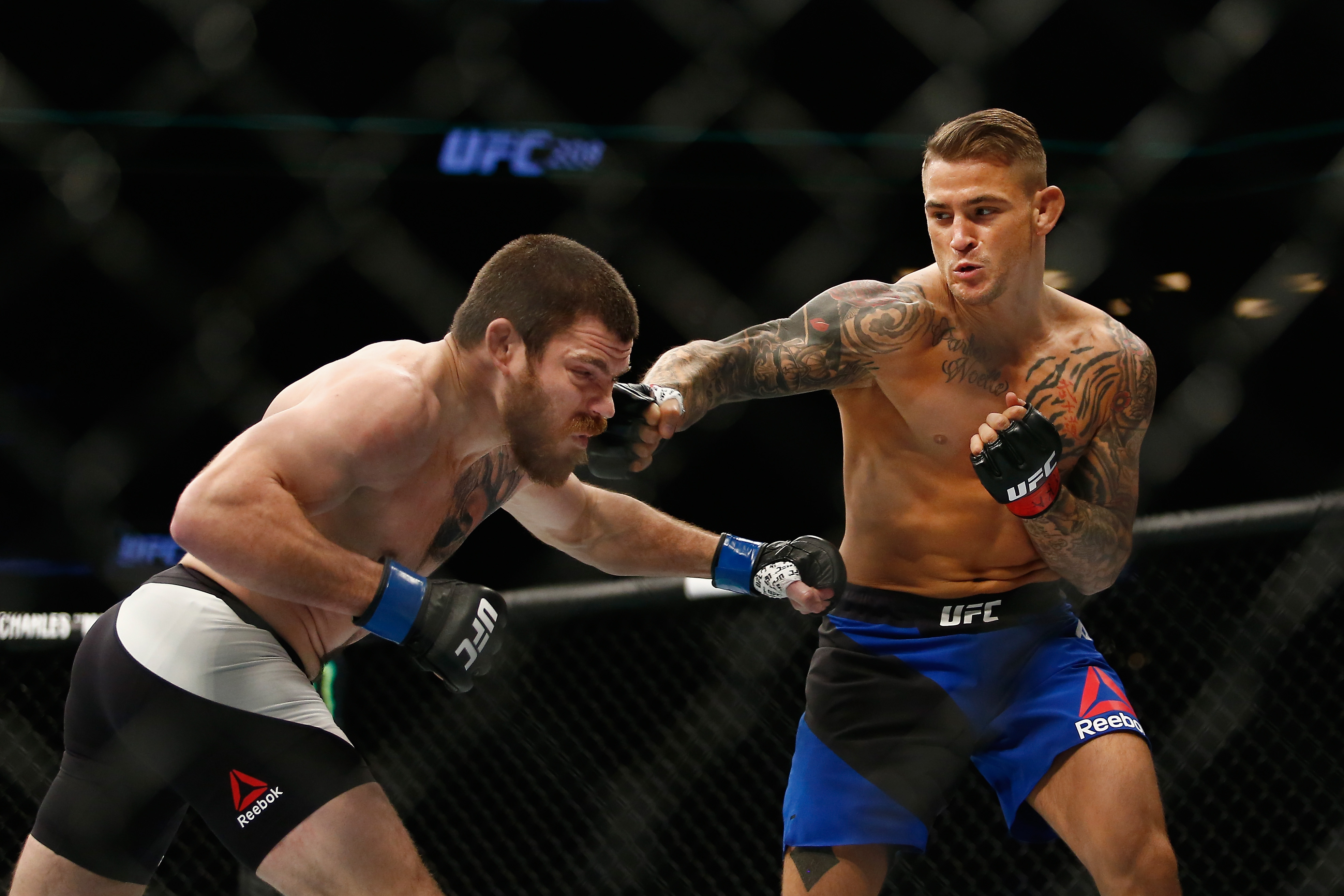 dustin poirier blue shirt