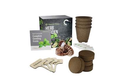 Planters' Choice Organic Herb Growing Kit