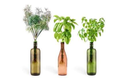 Urban Leaf Indoor Herb Garden Starter Kit