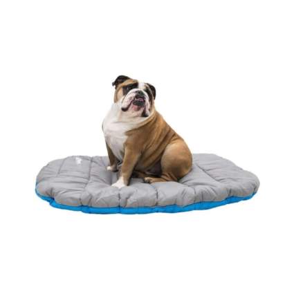 ChuckIt! dog bed camping with dogs