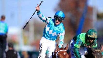 Owendale Horse: Meet the Jockey, Owner & Trainer