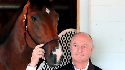 Omaha Beach Scratch: What Happened to Horse Before Kentucky Derby?