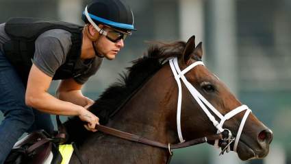 Cutting Humor Horse: Meet the Jockey, Owner & Trainer