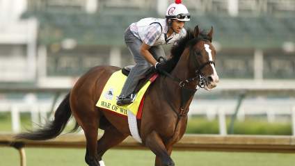WATCH: War of Will Wins the 2019 Preakness Stakes