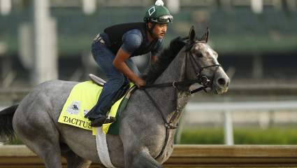 Tacitus Horse: Meet the Jockey, Owner & Trainer