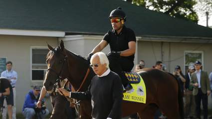 Bob Baffert’s Kentucky Derby Horses 2019
