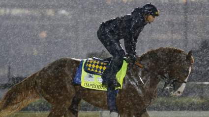 Improbable Pedigree: Who Are the Horse’s Sire & Dam?