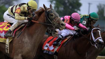 Why Country House & Maximum Security Are Not Running at Preakness