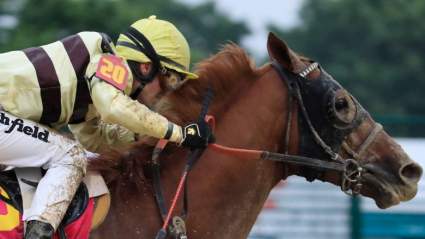 Country House Preakness: Health Status for Kentucky Derby Champ