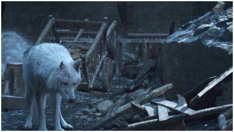 Ghost on Game of Thrones