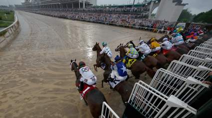 Alpaca Kentucky Derby 2019: Roadster Runs Away With 2nd Annual Race