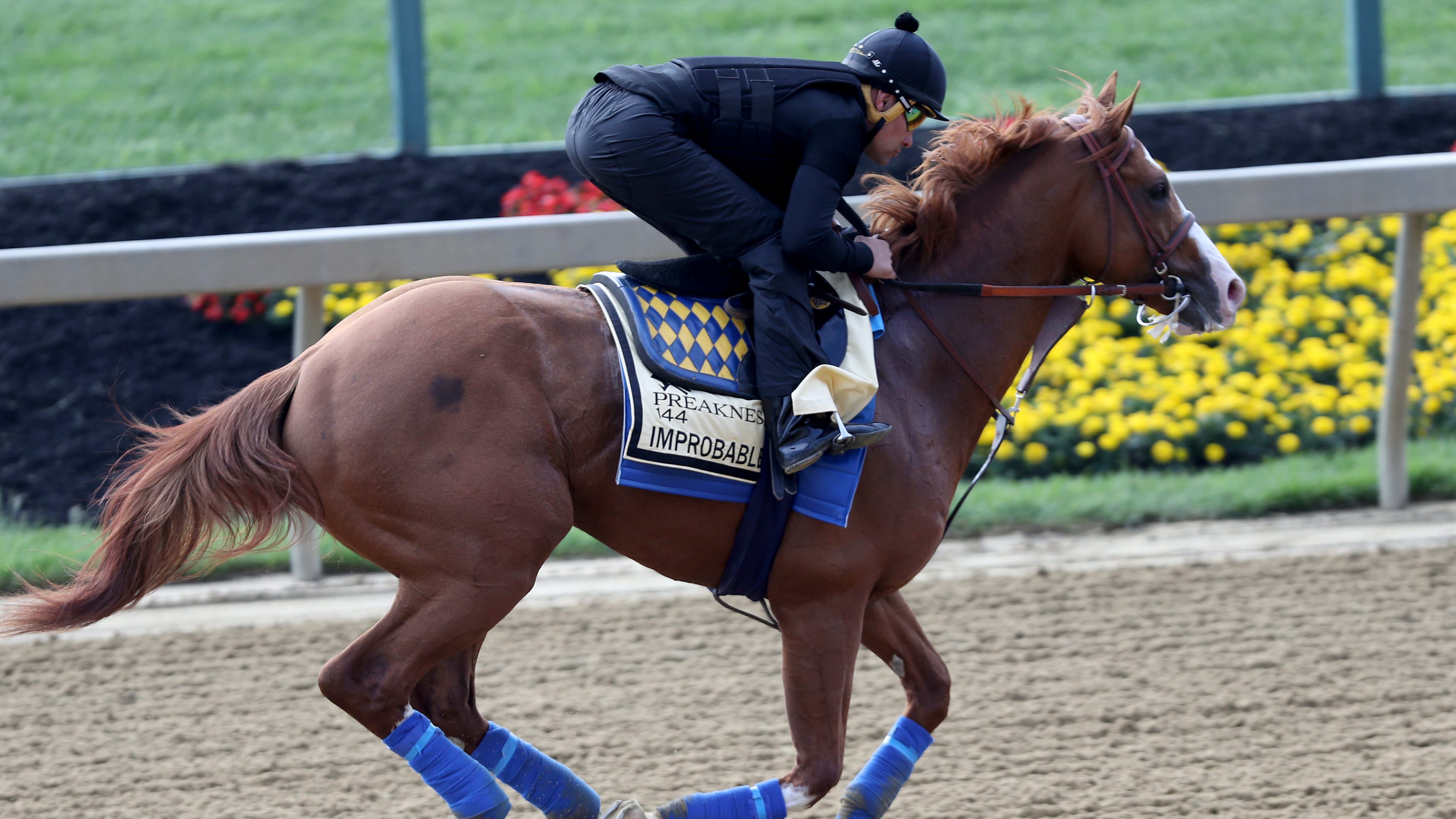 Preakness Stakes Live Stream: How To Watch Online Free