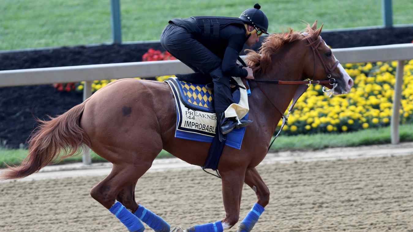 Preakness Stakes Live Stream How to Watch Online Free
