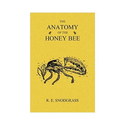 'The Anatomy of the Honey Bee' by R. E. Snodgrass
