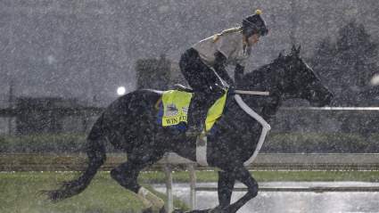 Win Win Win Horse: Meet the Jockey, Owner & Trainer