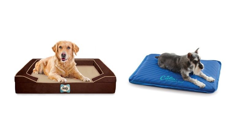 7 Best Cooling Dog Beds: Your Easy 