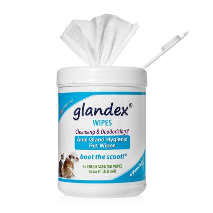glandex pet wipes