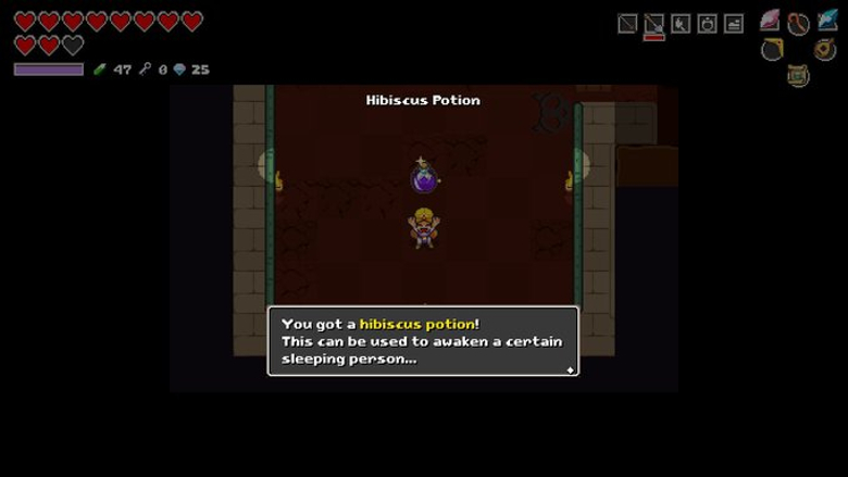 How to Get Hibiscus Potion Cadence of Hyrule
