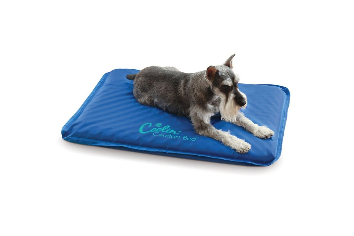 k&h cooling dog bed