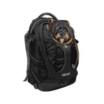 kurgo dog carrier backpack