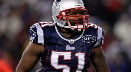 Jerod Mayo Calling Defensive Plays During Patriots’ Minicamp