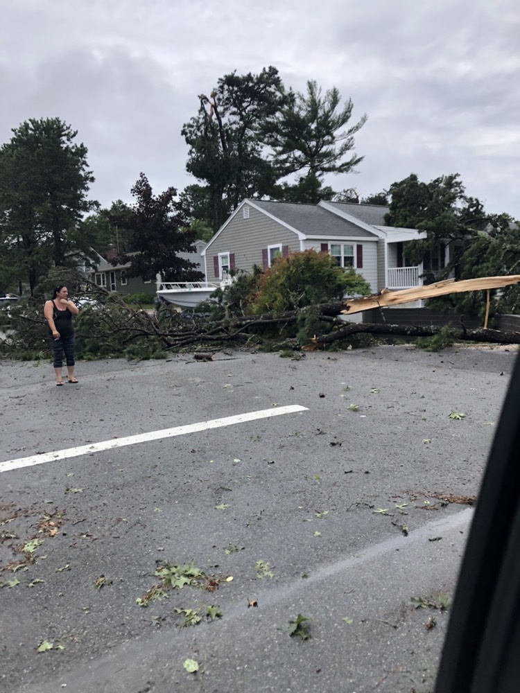 LOOK Tornado Touched Down on Cape Cod (PHOTOS)
