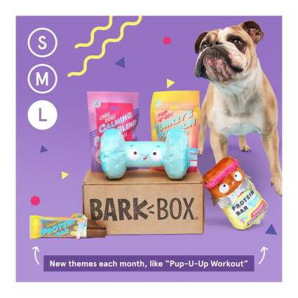 BarkBox subscription gifts for dog lovers