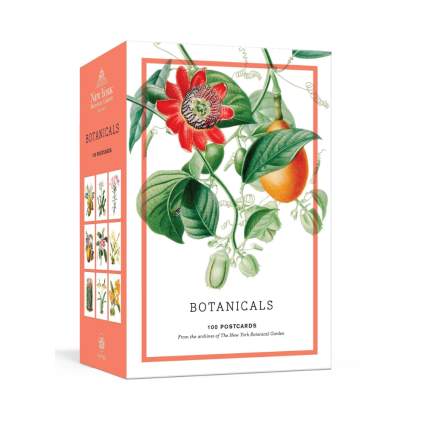 boxed botanical notecards