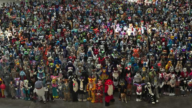 Furry Convention Pittsburgh 2019 Full Anthrocon Schedule