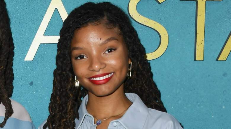Twitter Reacts to Halle Bailey Cast as The Little Mermaid | Heavy.com